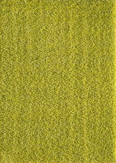 Groen hoogpolig vloerkleed of karpet Seram 1300