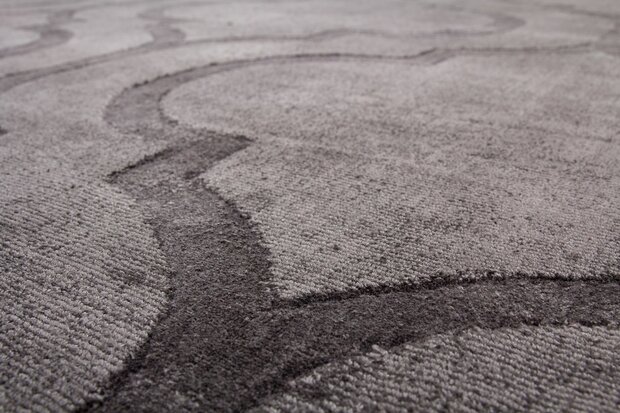 Vloerkleed, karpet of tapijt gemaakt van viscose Santarina Grijs